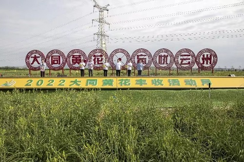 开云手机平台-IOS/安卓通用版/手机APP入口大同分公司参加大同市黄花丰收活动月